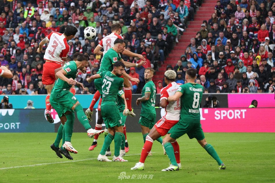 进了哈兰德 进了哈兰德